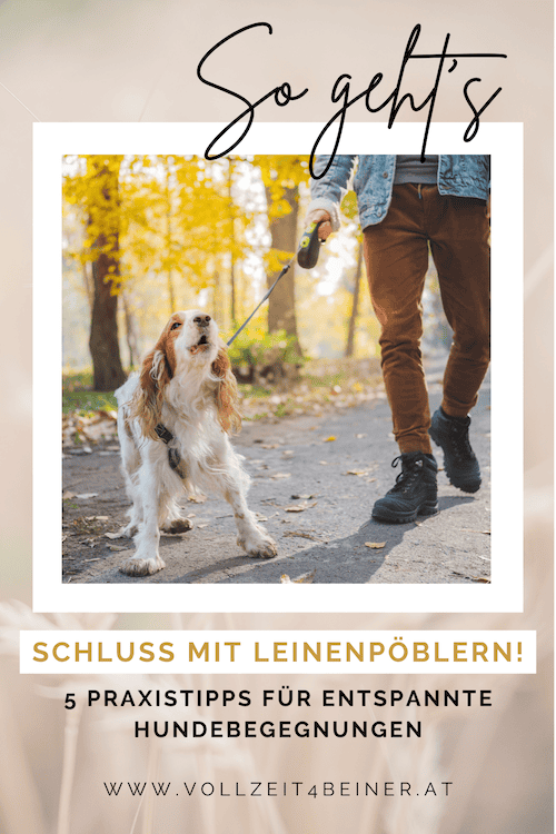 hundebegegnungen-leinenpöbler-5-tipps-hundetraining