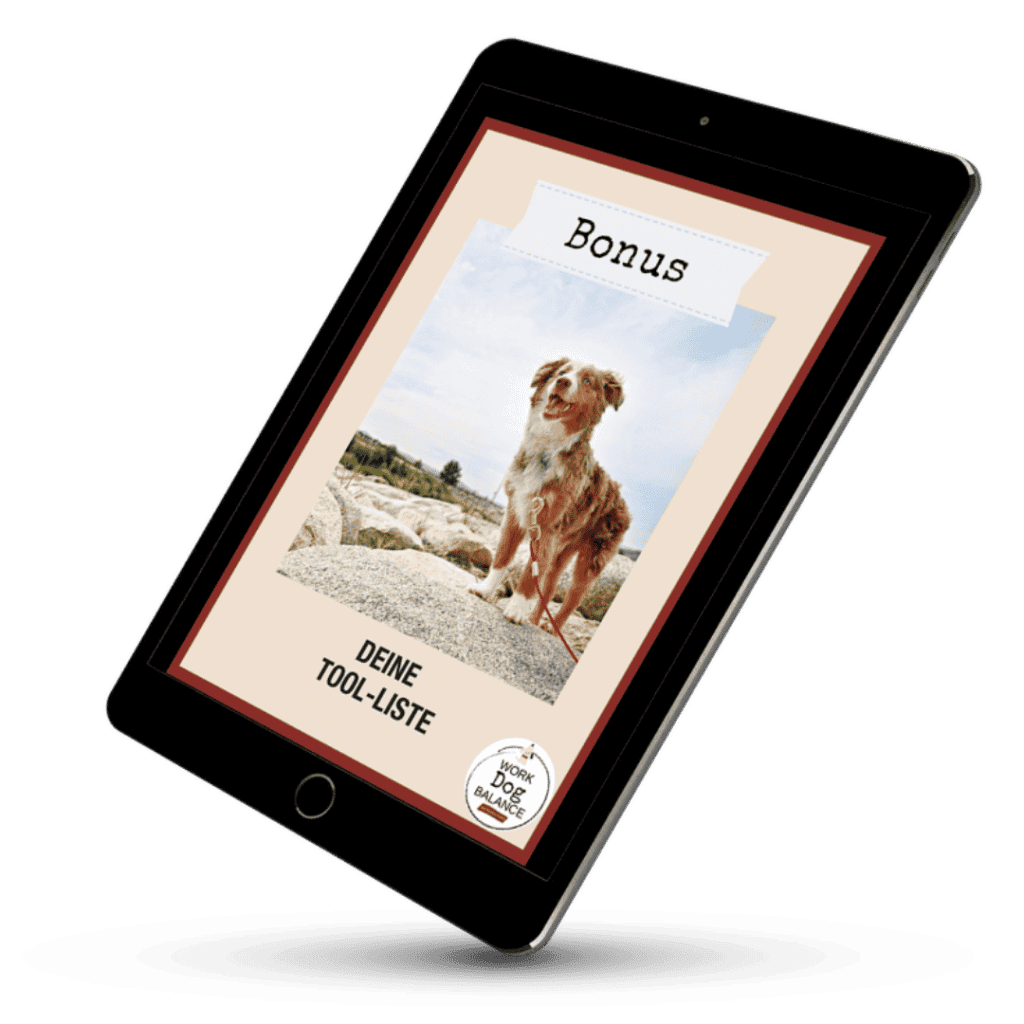 online-kurs-fuer-hunde-halter-besitzer-hund-neu-entspannter-alltag5