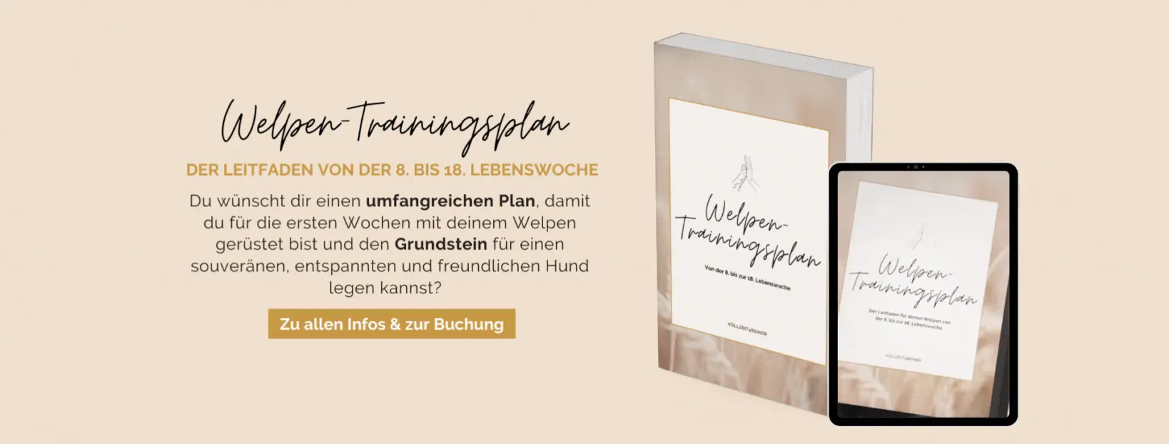 welpe-training-welpentraining-home-office-welpe-welpentrainingsplan