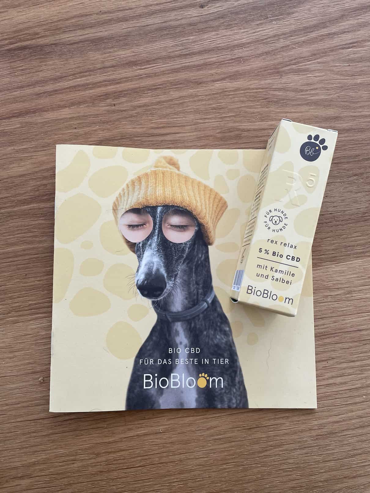 biobloom-hund-test-cbd-trennungsstress