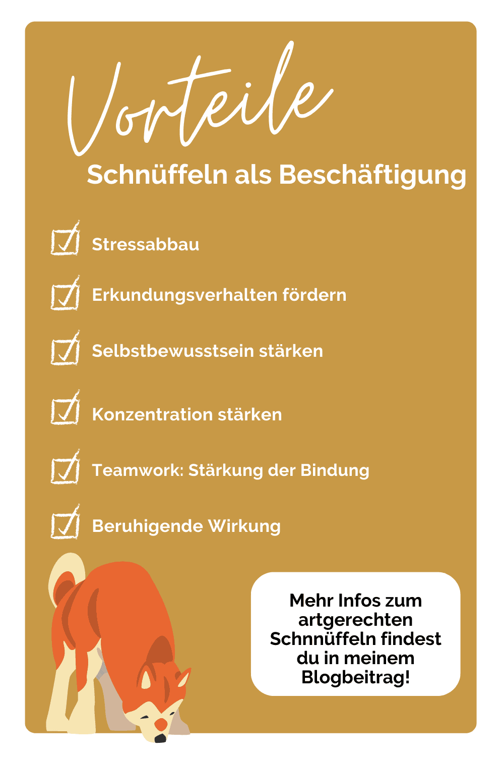 hund-schnueffeln-nasenarbeit-auslastung-beschäftigung-hundesport