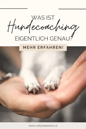 unterschied-hundecoaching-hundetraining-blog