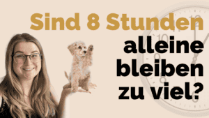 kann-ein-hund-acht-stunden-alleine-bleiben