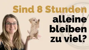 kann-ein-hund-acht-stunden-alleine-bleiben