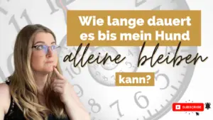 wie-lange-dauert-es-bis-mein-hund-alleine-bleiben-kann