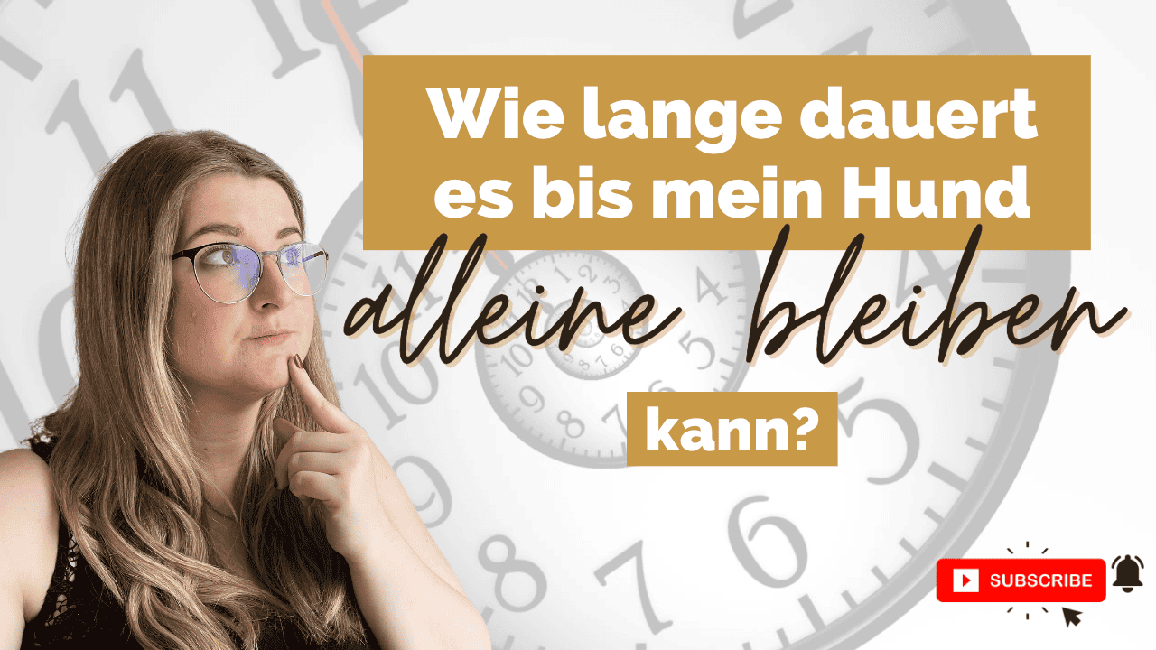 wie-lange-dauert-es-bis-mein-hund-alleine-bleiben-kann