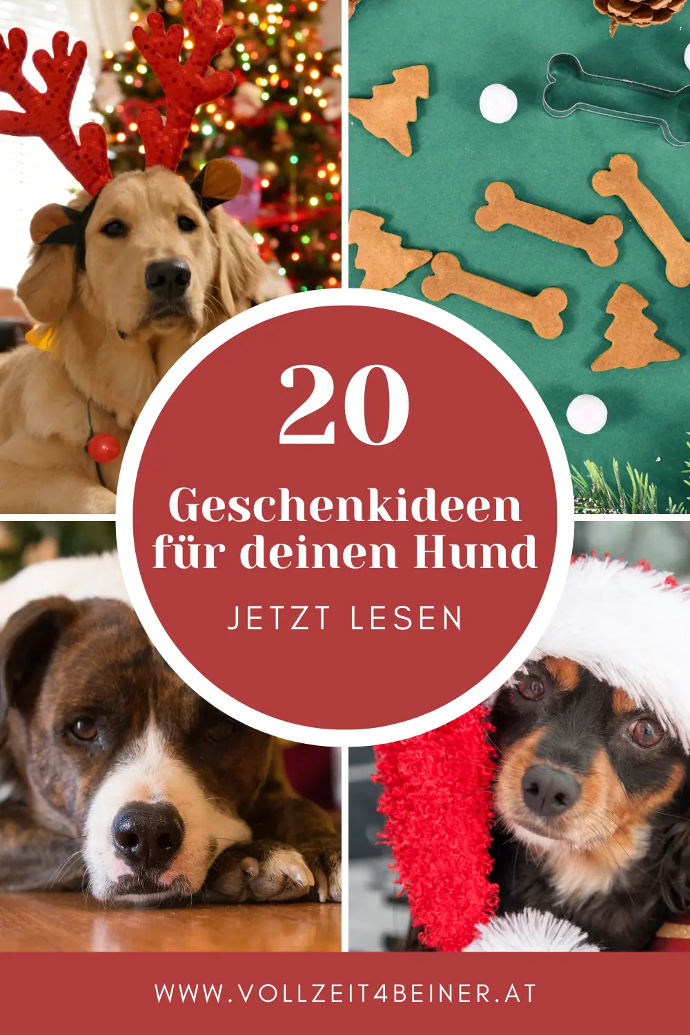 Weihnachtsgeschenke-für-deinen-Hund
