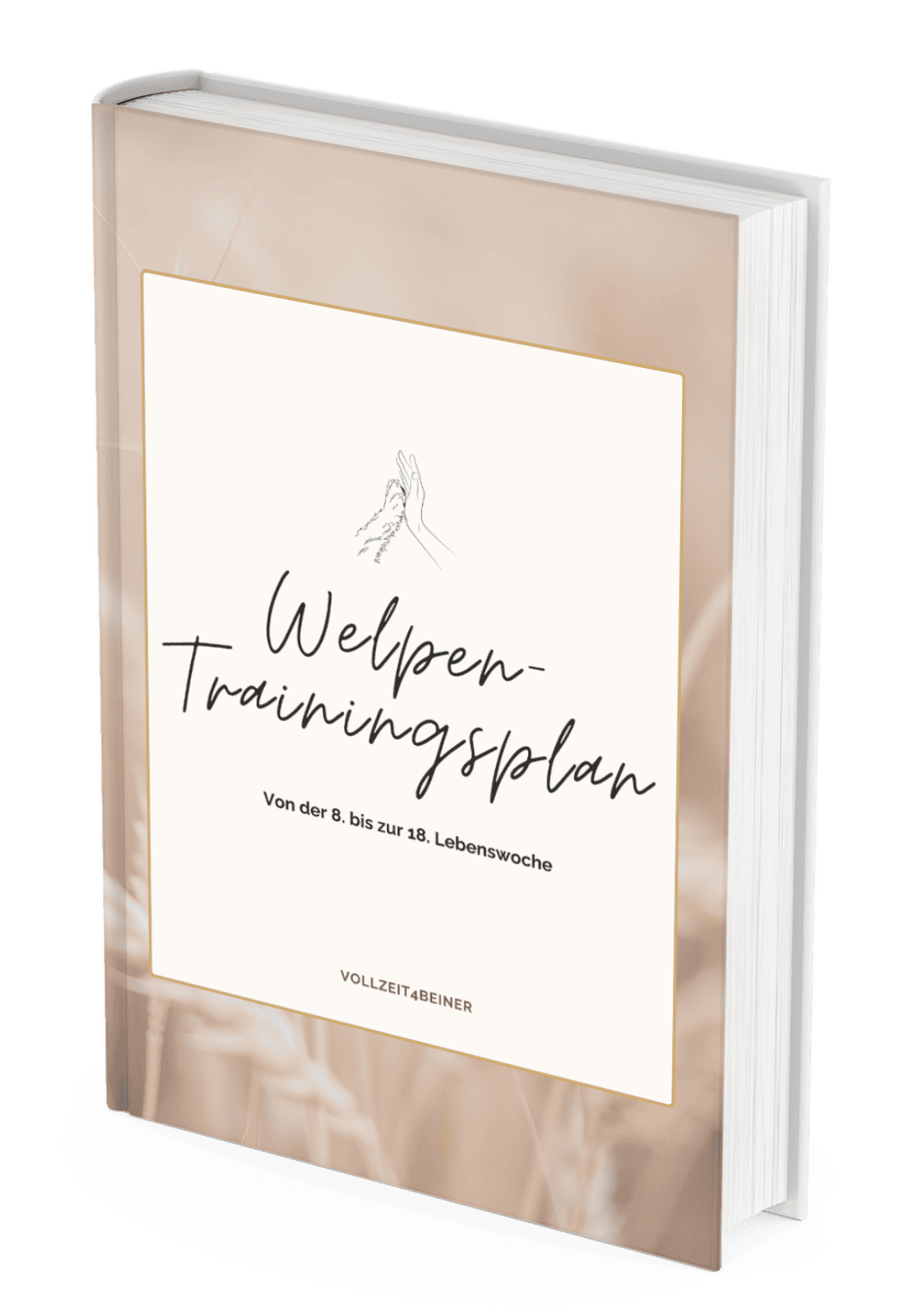 welpen-trainingsplan-vollzeit4beiner-welpe