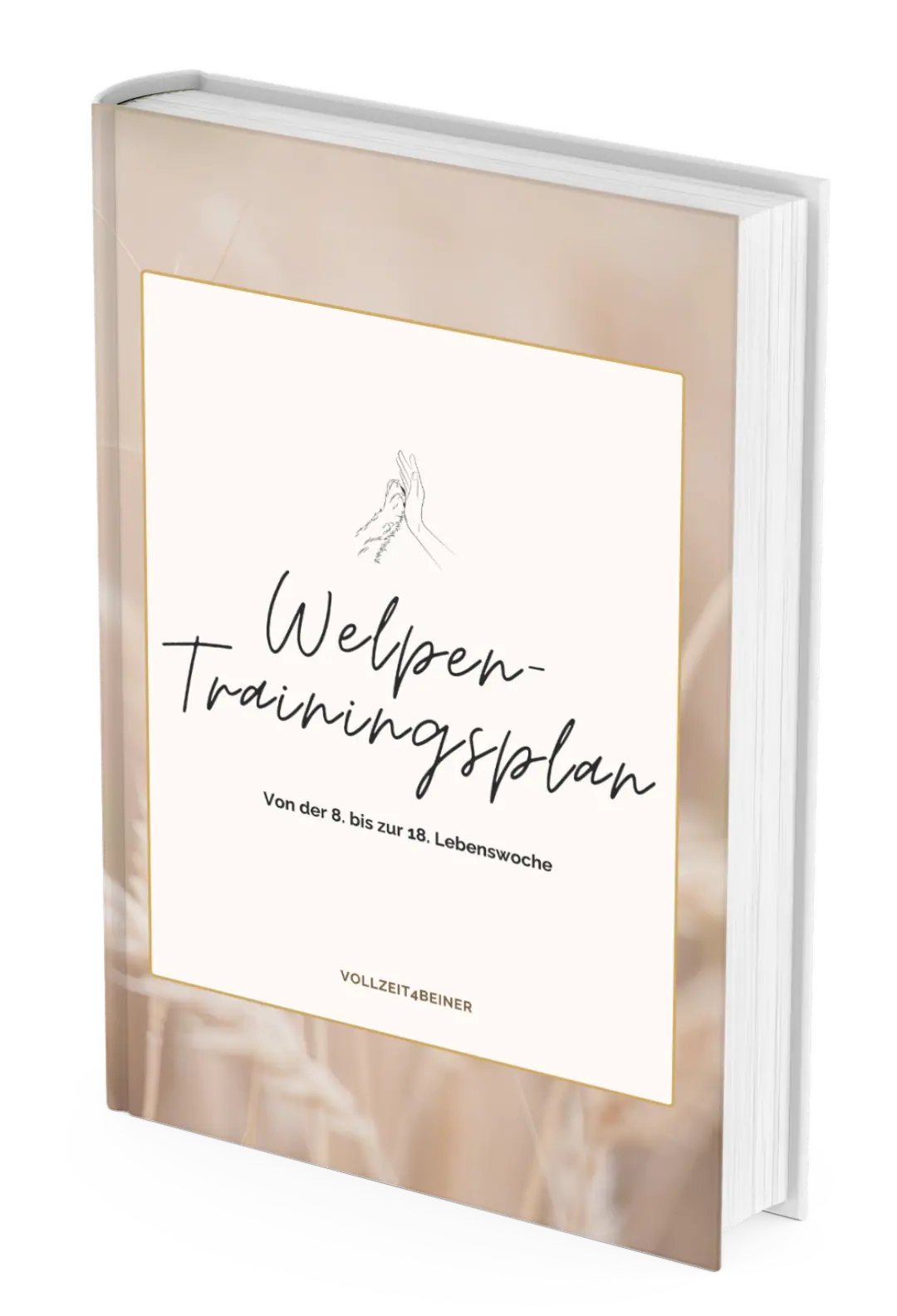 welpen-trainingsplan-vollzeit4beiner-welpe