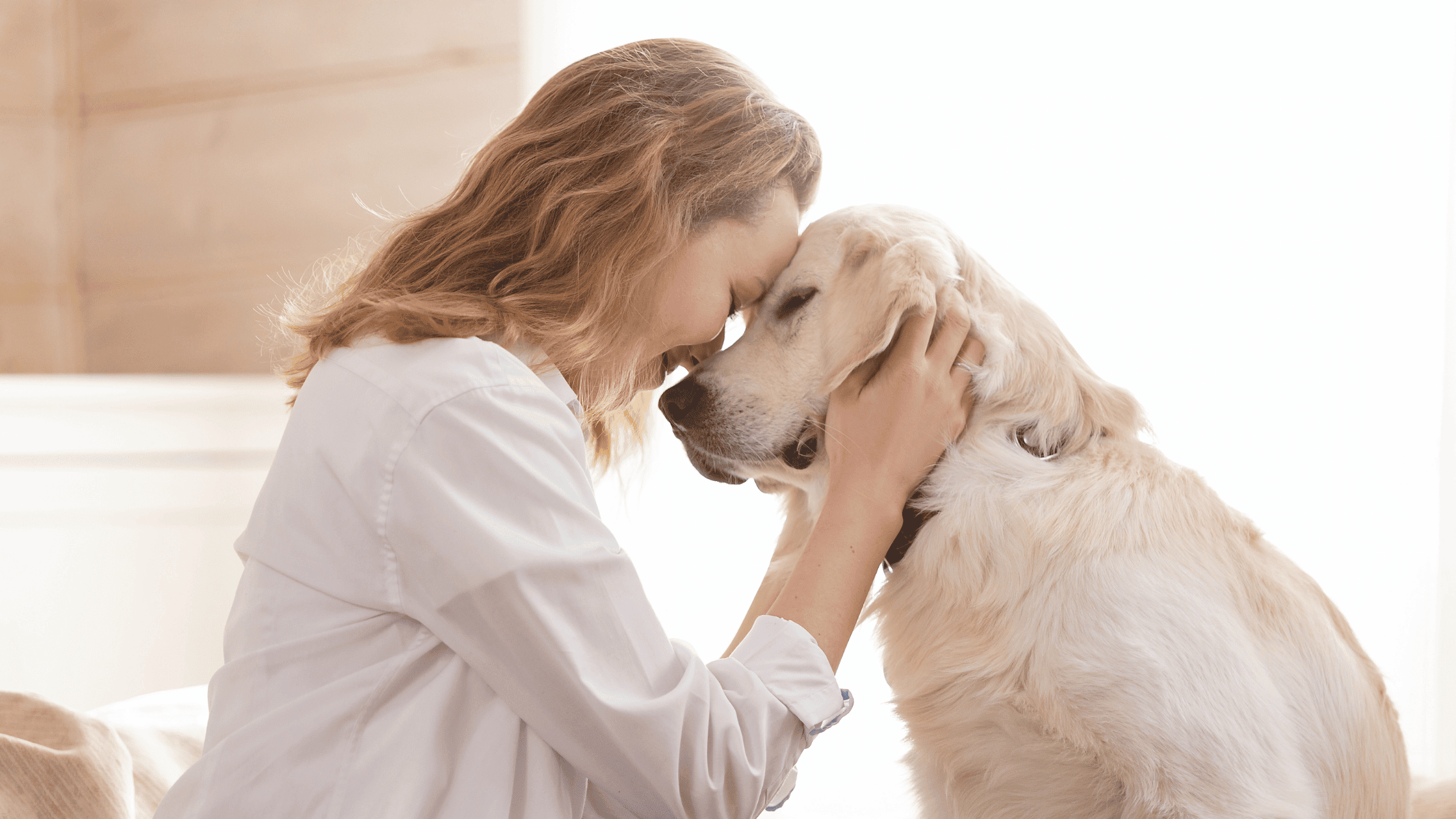 so-begrüßt-du-deinen-hund-richtig-entspannt-hundetraining