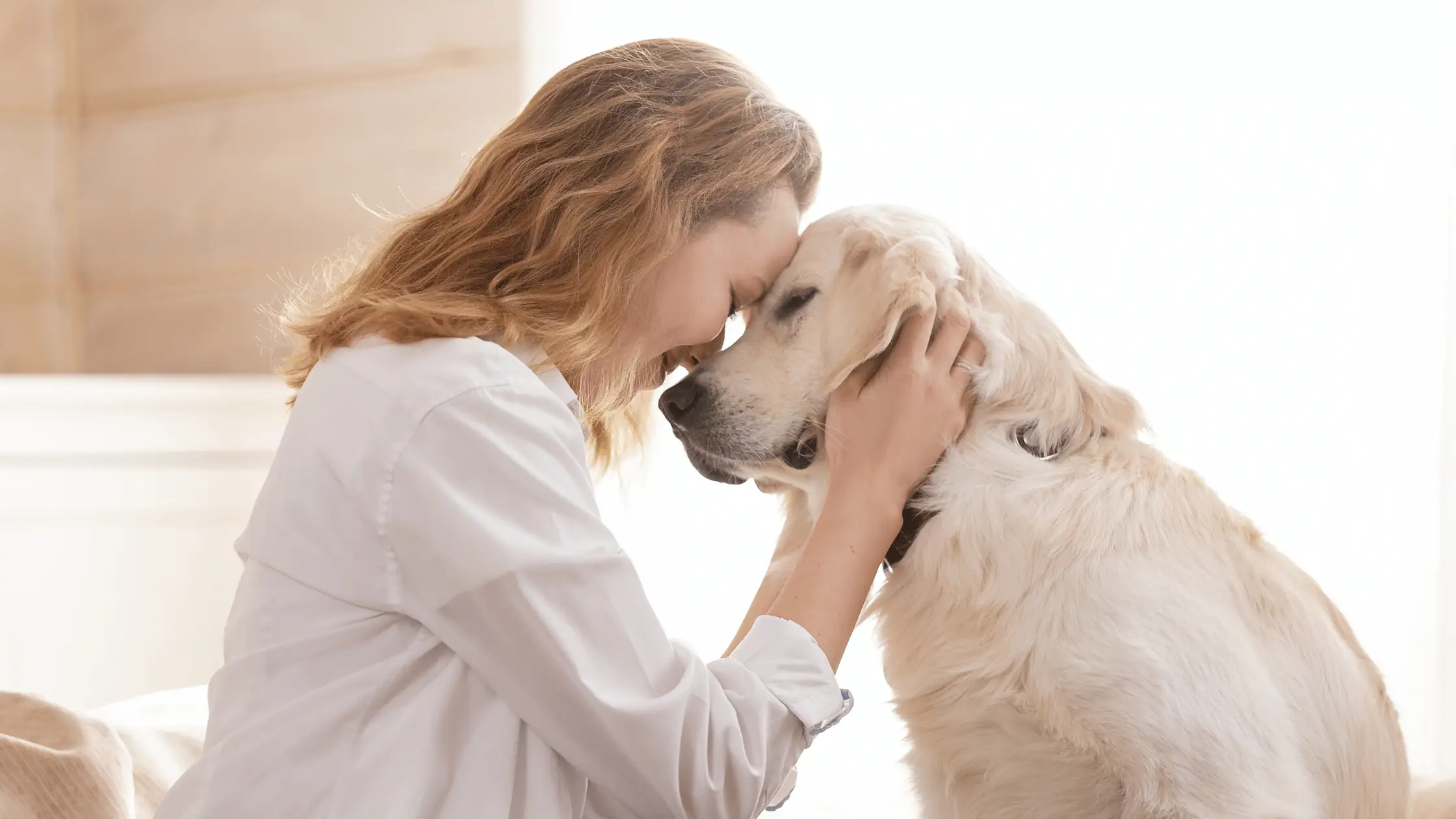 so-begrüßt-du-deinen-hund-richtig-entspannt-hundetraining