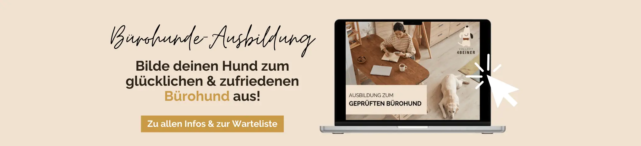 Banner-Bürohunde-Ausbildung-online-training-hund-büro