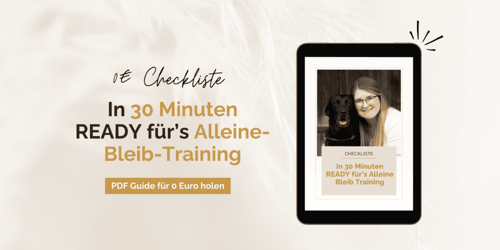 alleine-bleiben-checkliste