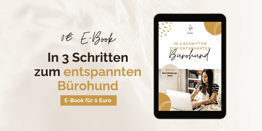 buerohunde-checkliste