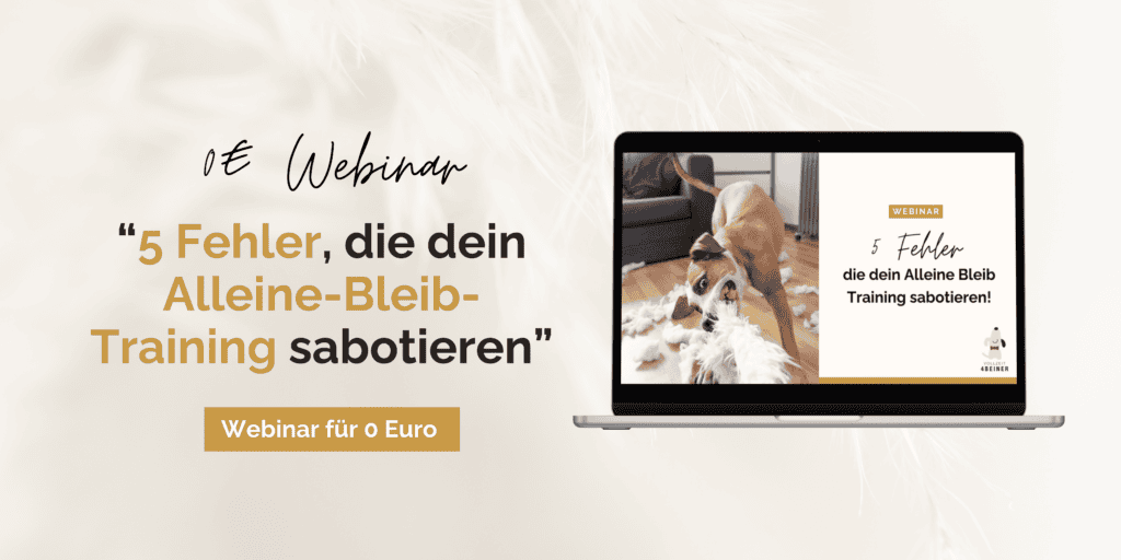 Hund-Alleine-bleib-Training-webinar-gratis