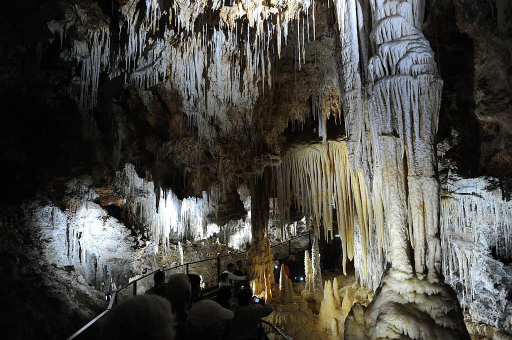 TO GO WITH AFP STORY BY REMY ZAKA – A pi A cave ceiling with stalactites