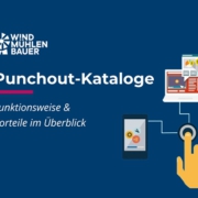 punchout catalog