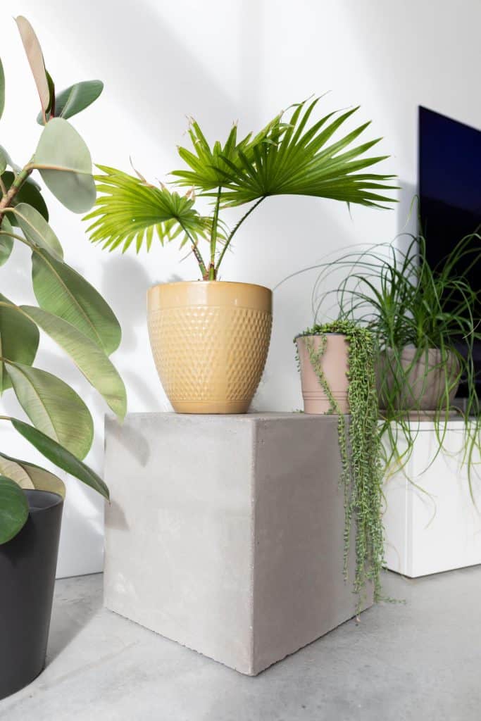 House Mesh Design Wohnen mit Wohnbeton