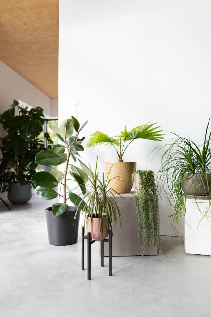 House Mesh Design Wohnen mit Wohnbeton