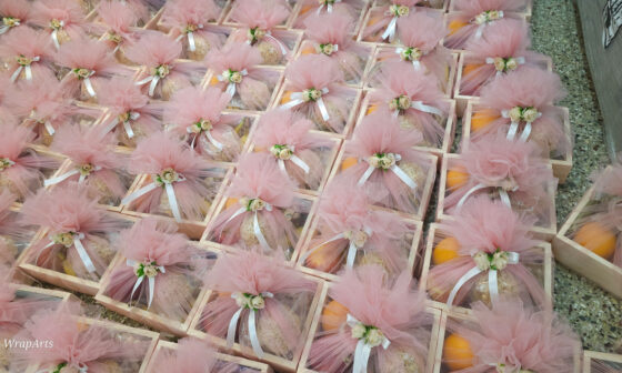 Upanayanam and Half Saree Ceremony Gifts | Wrap Arts