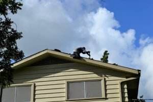 an emergency roof repair in progress