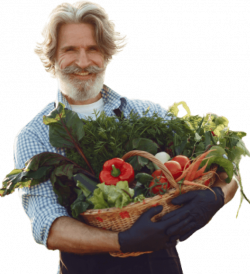 A person holding a basket full of vegetables in San Antonio, TX