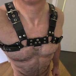gayforplay avatar