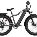 Mokwheel Tor plus fat tire ebike