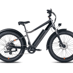 RadRover 6 Plus Fat Tire eBike