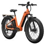Mokwheel Basalt ST 2.0