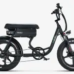Ridel Snuggler Two-person electric bike