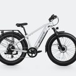 Velowave Ranger 3.0 ebike