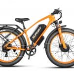 Victrip Surnat N12 dual motor ebike