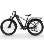 Vivi Ace01 eBike