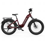 HovAlpha Step-Thru Ebike by Hovsco