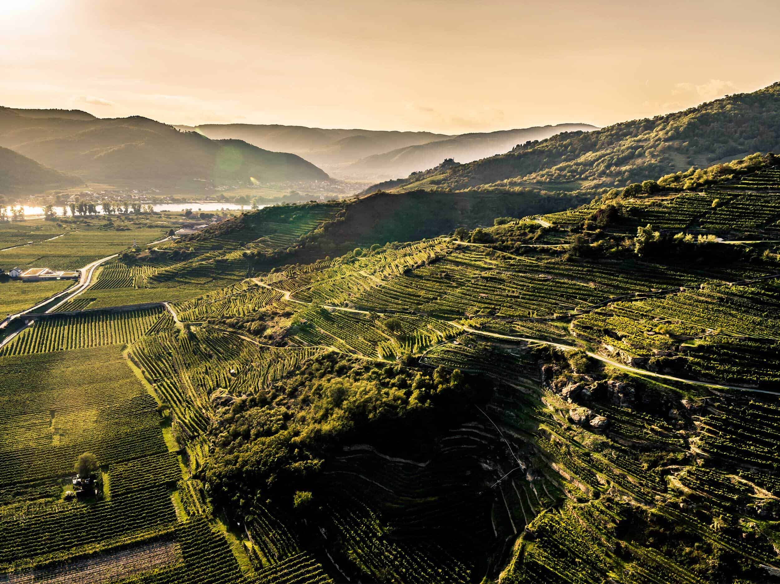 Loibenberg Weinlage Gritsch