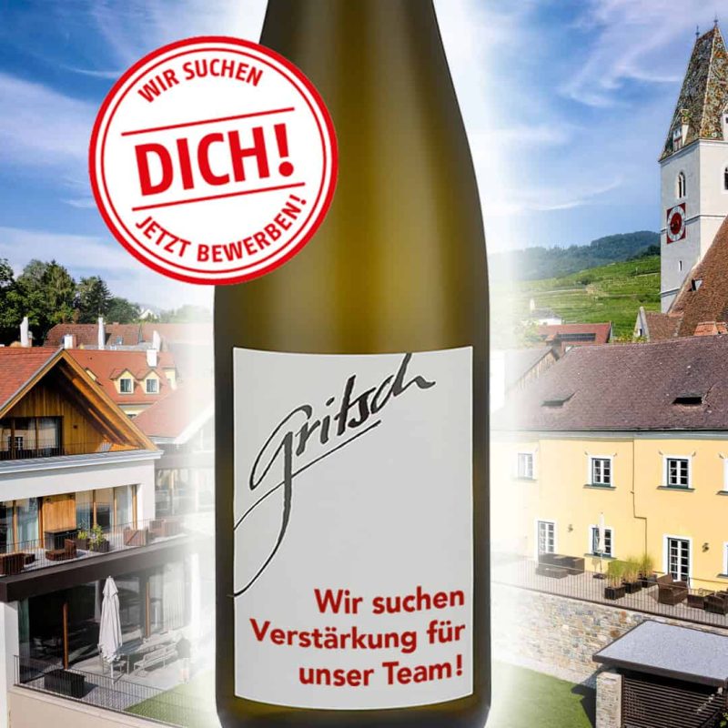 News Jobs Verkauf