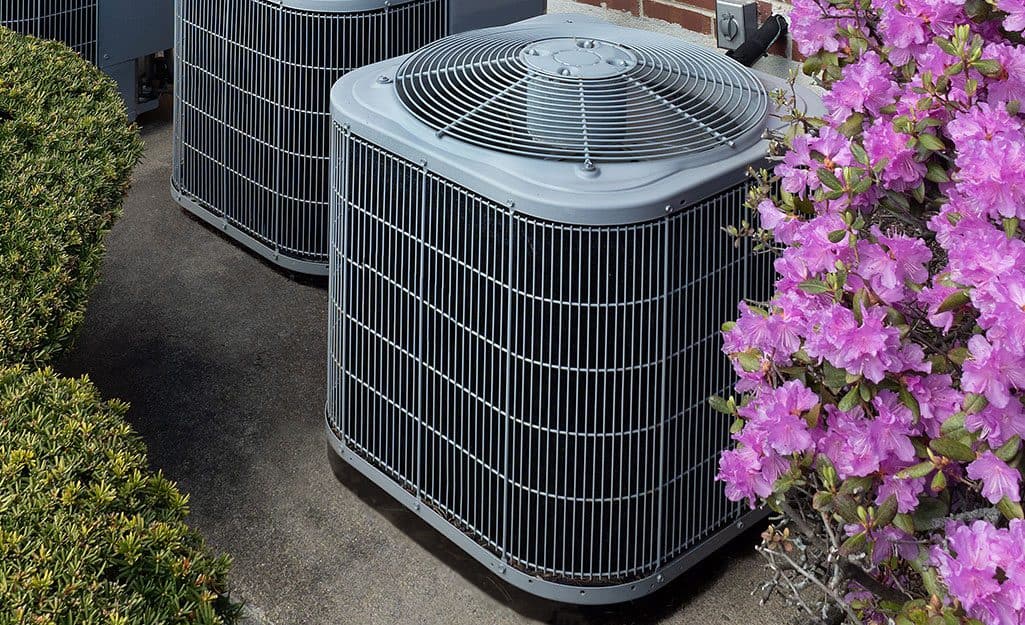 Two outdoor air conditioning units are placed near a brick wall. Pink flowering bushes are on the right, and trimmed greenery is on the left.