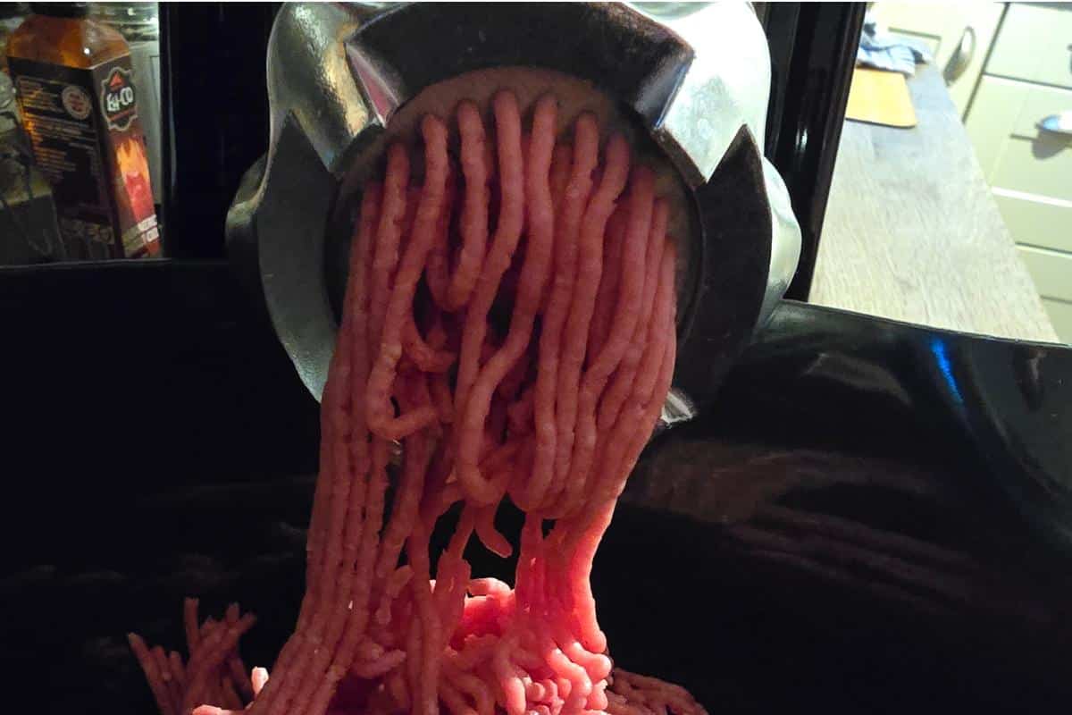 Raw ground meat smoothly extrudes from the AAOBOSI electric meat grinder, its powerful 3000W motor effortlessly filling a sleek black container in the kitchen setting.