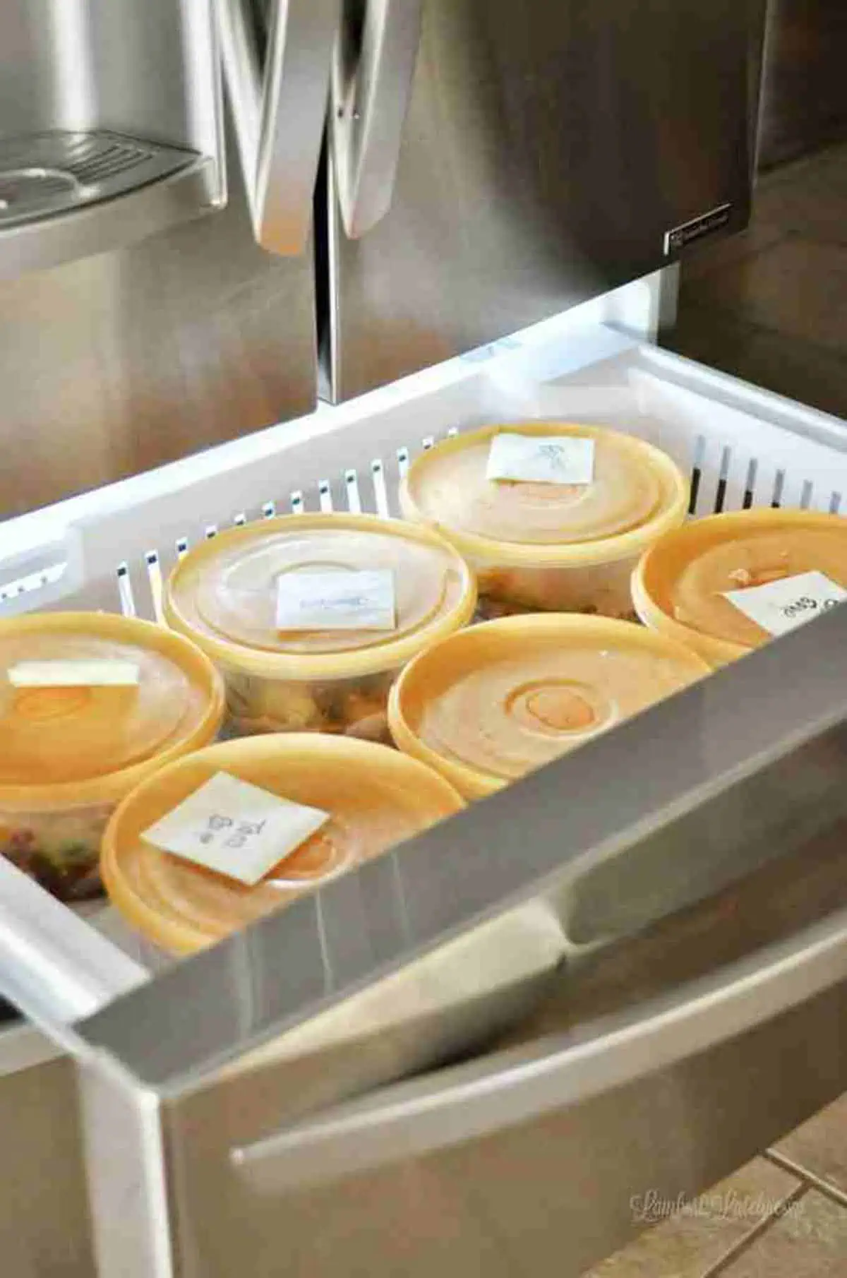 instant pot freezer meals in a freezer.