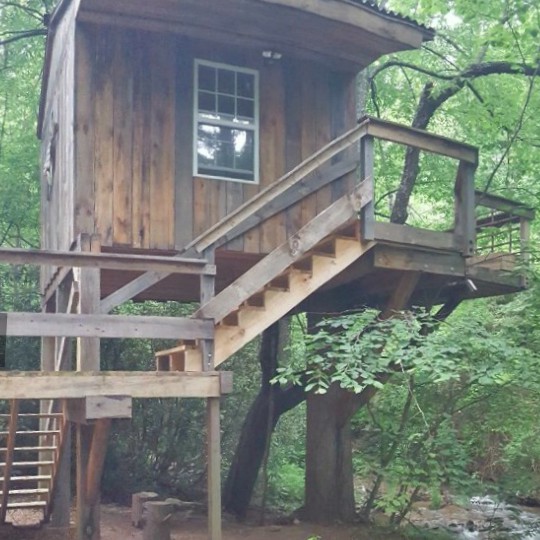 Treehouse