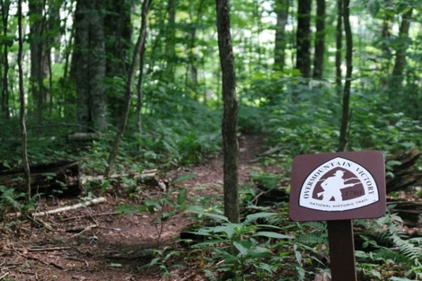 Yellow Mountain Road Trailhead