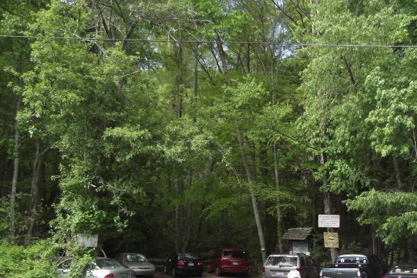 Dennis Cove Road