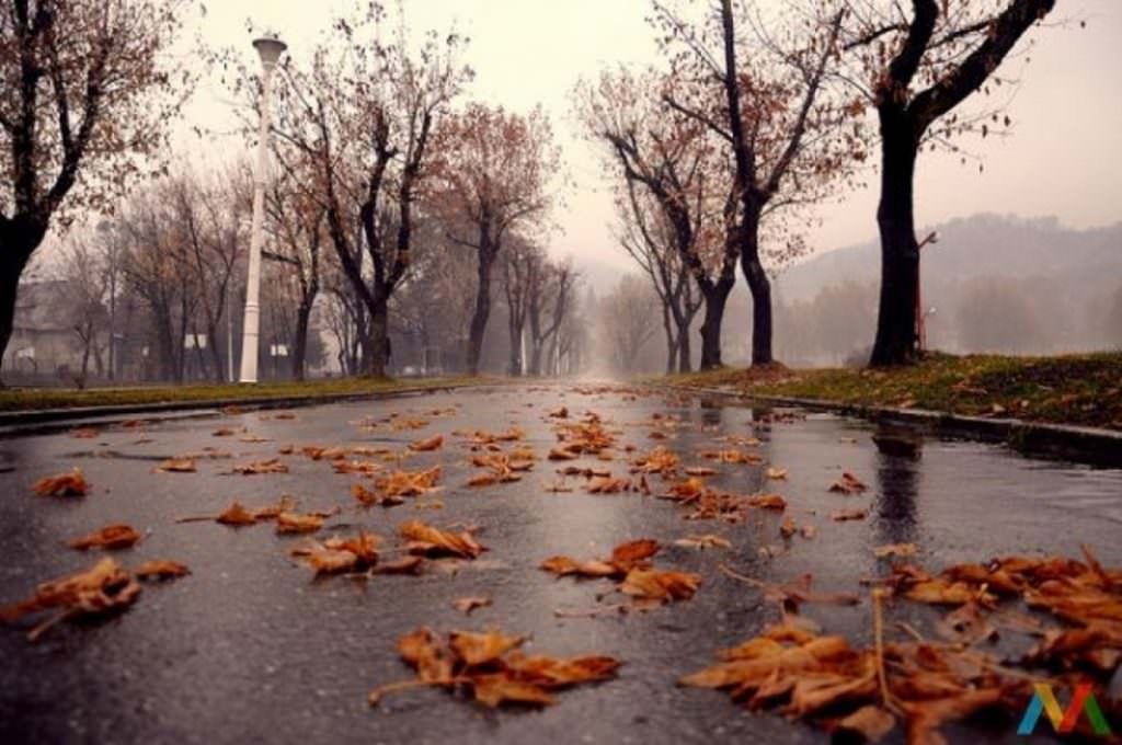 Prognoza meteo pentru începutul lui septembrie - În Transilvania minime de 7 grade şi ploi
