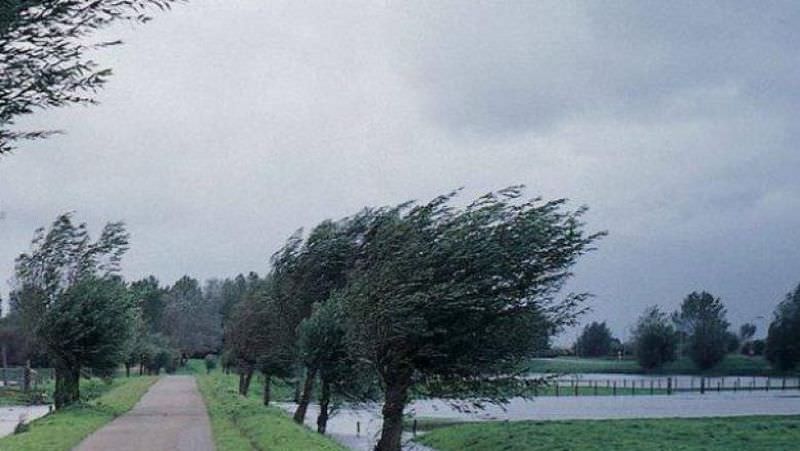 Cod Galben de vânt puternic în zona de munte a Sibiului