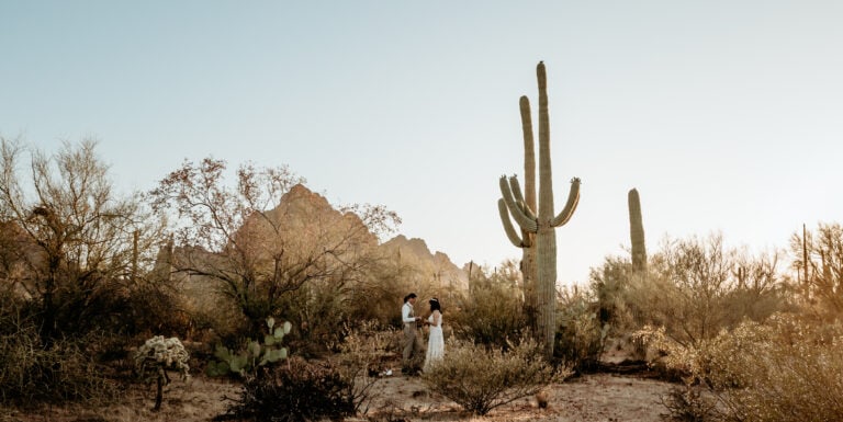 Lori & Ben’s Tucson Elopement under the Blooming Ironwood Trees