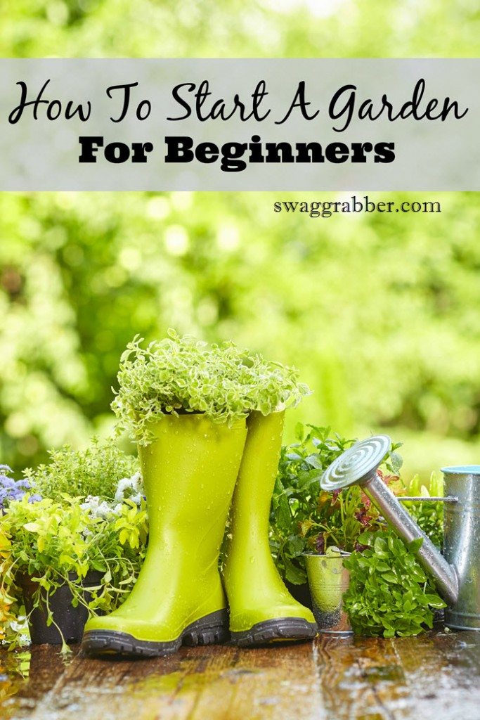 beginnergarden
