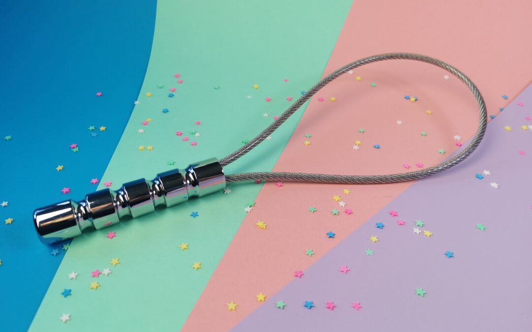 MEO Sado Metal Loop Whip – BDSM review