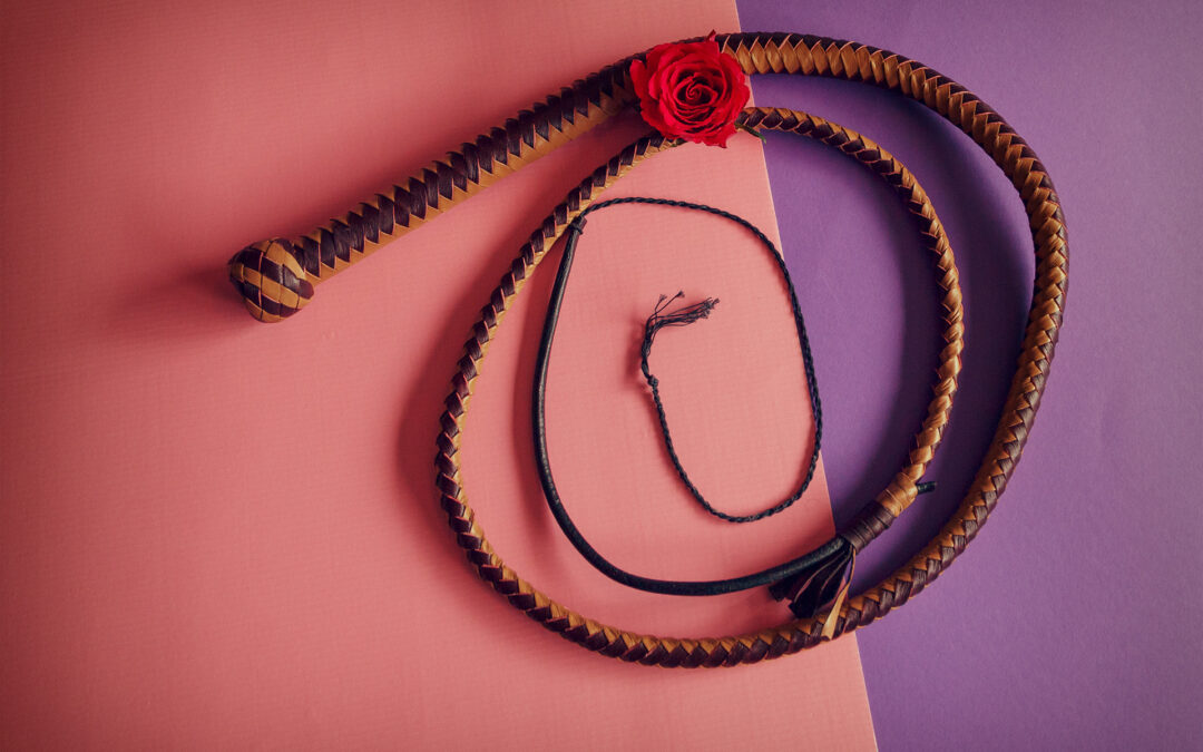 MEO SM Whip in Brown Leather | Singletail review