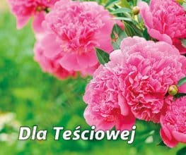 Perełka 269 Dla Teściowej